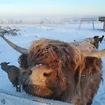 Feriehus Srub U Holubu