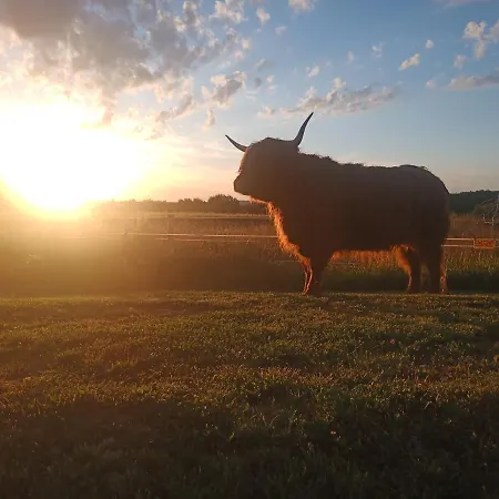 Ferienhaus Wellness Srub U Holubů *