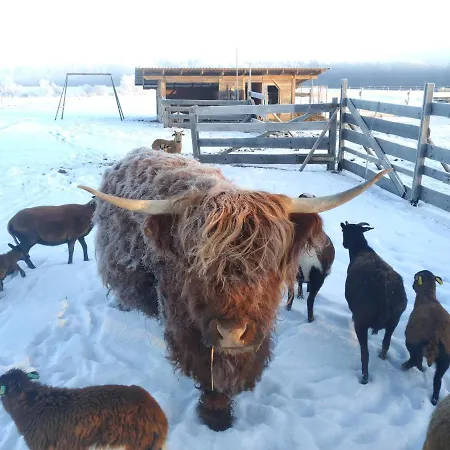 Wellness Srub U Holubů Malsice