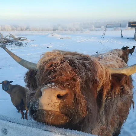 Ferienhaus Wellness Srub U Holubů
