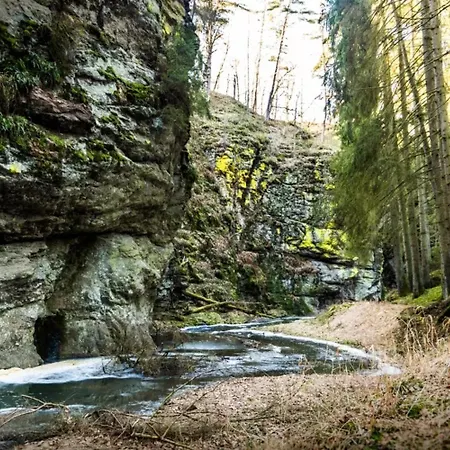 Ferienhaus Wellness Srub U Holubů *