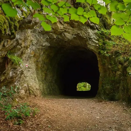 Wellness Srub U Holubů Ferienhaus