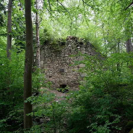 Wellness Srub U Holubů Ferienhaus *